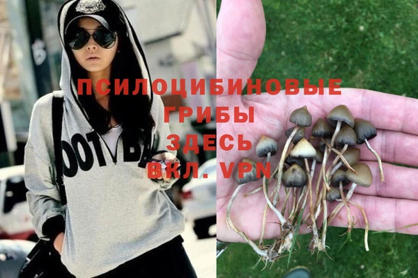 а пвп мука Надым