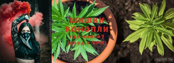 дживик Навашино
