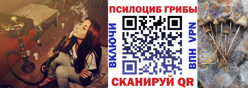 МЕГА рабочий сайт  Элиста  Псилоцибиновые грибы Magic Shrooms 