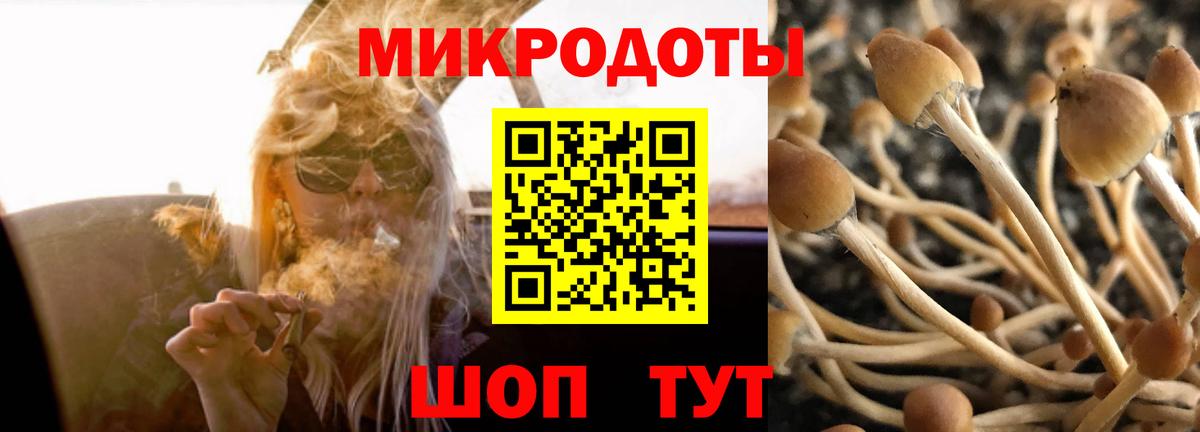 Элиста  Галлюциногенные грибы GOLDEN TEACHER  Галлюциногенные грибы MAGIC MUSHROOMS  Вход с VPN 